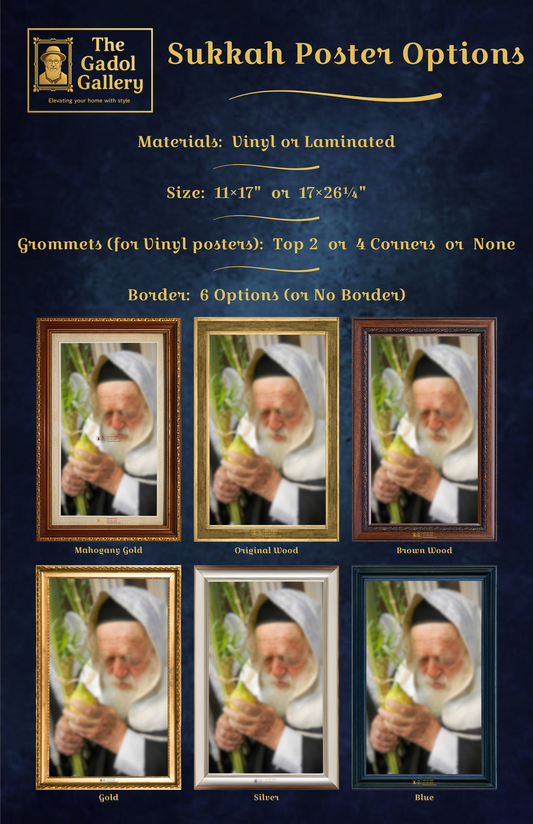 Rav Reuven Feinstein - 2 - רב שלום ראובן פיינשטיין Sukkah Poster