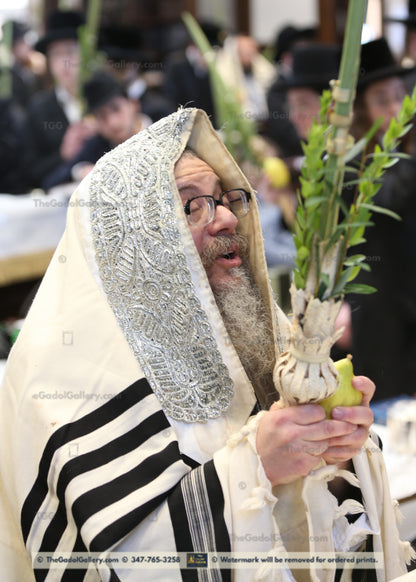 Rav Zvi Noach Portugal, The Skulener Rebbe Lakewood -Sukkos 2- האדמו"ר מסקולען