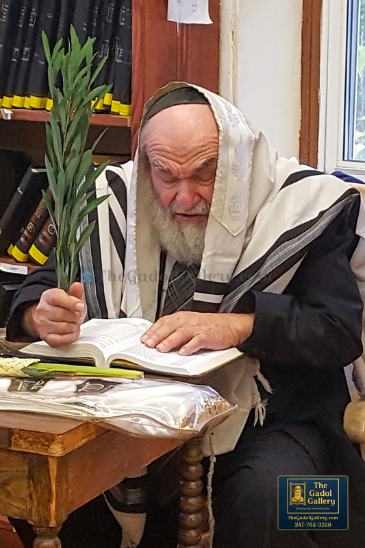 Rav Reuven Feinstein -8- רב שלום ראובן פיינשטיין Sukkah Poster