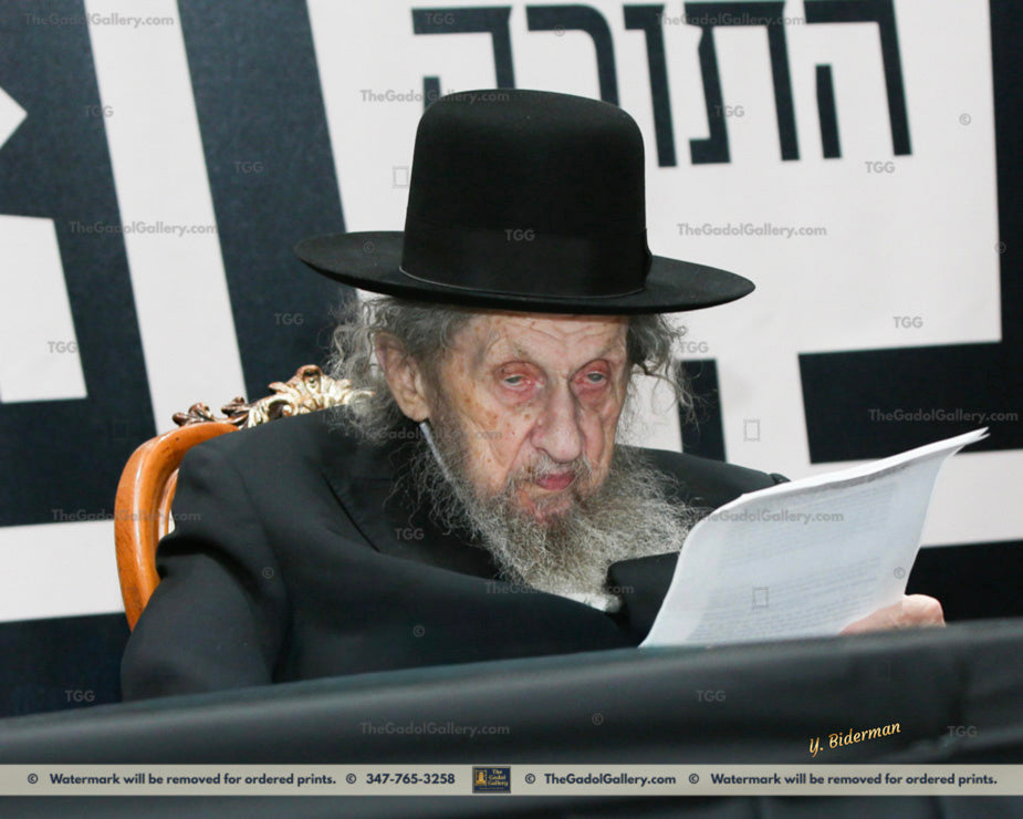 Rav Dov Landau -4- רב דוב לנדאו