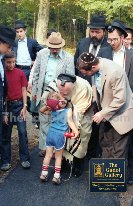 Rav Moshe Feinstein -6- רב משה פיינשטיין Sukkah Poster