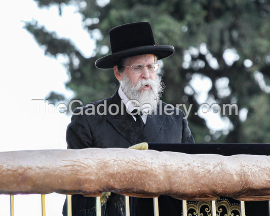 The Boyaner Rebbe, Rav Nachum Dov Brayer - 2 - האדמו"ר מבאיאן