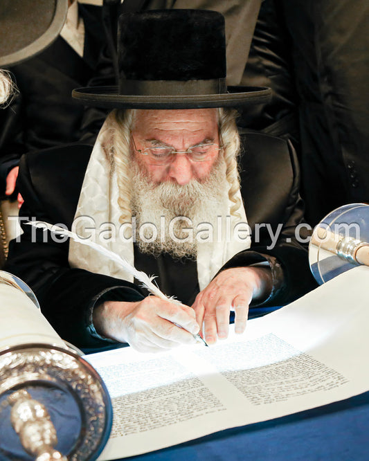 The Kosoner Rebbe (Oak & Vine, Lakewood) -1- האדמו"ר מקאסאן