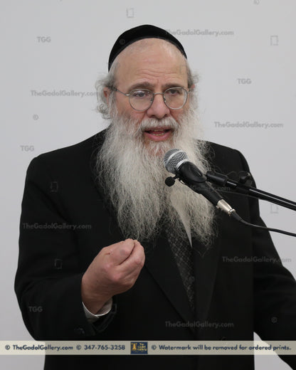 Rav Sholom Kamenetzky  Sukkah Poster
