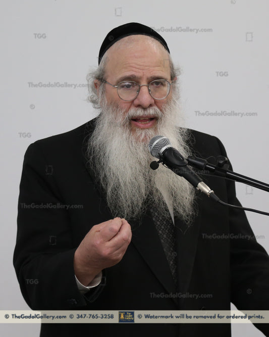 Rav Sholom Kamenetzky  Sukkah Poster