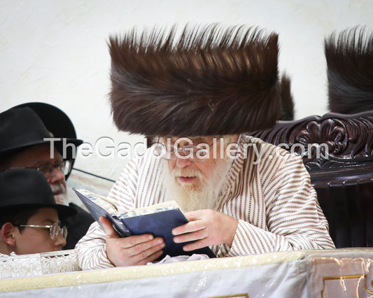 The Toldos Ahron Rebbe -5- האדמו"ר מתולדות אהרן