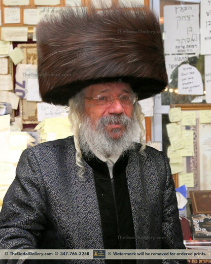 The Nikolsburg Rebbe - Rav Mordechai Zev Jungreis 4