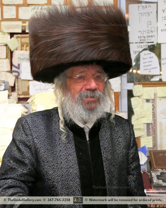 The Nikolsburg Rebbe - Rav Mordechai Zev Jungreis 4