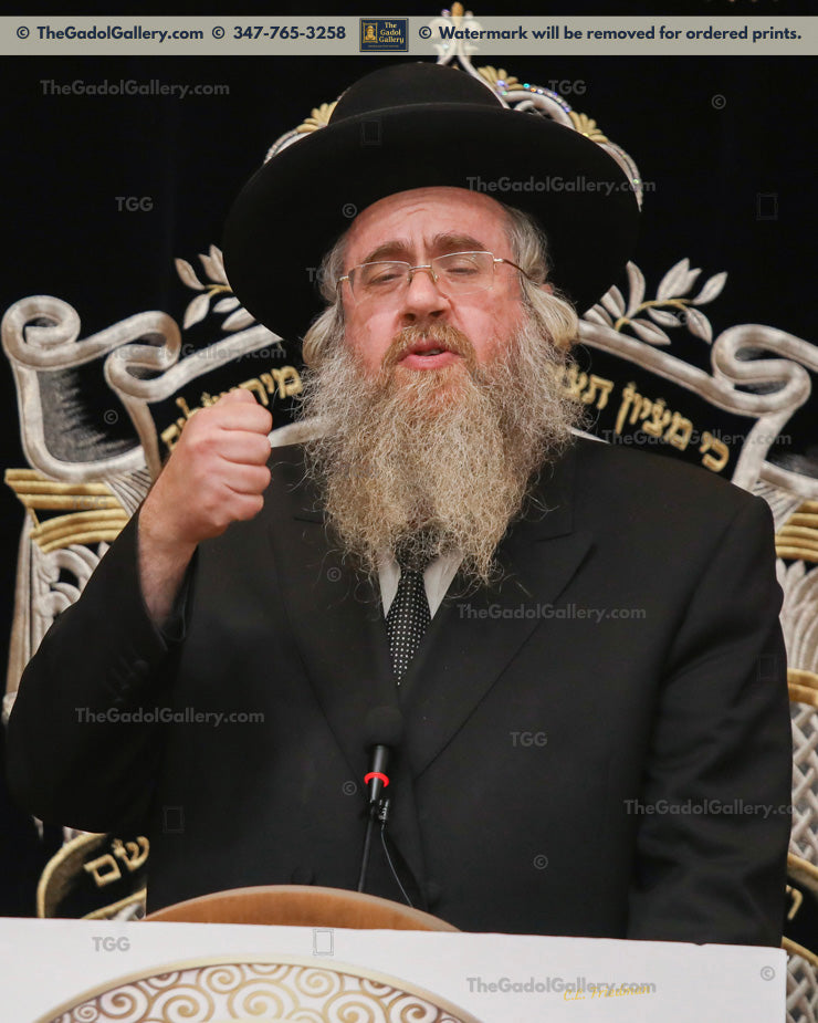 Rav Yisroel Yaakov Pincus
