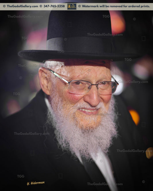 Rav Mordechai Dov Fine -2- רב מרדכי דוב פיין