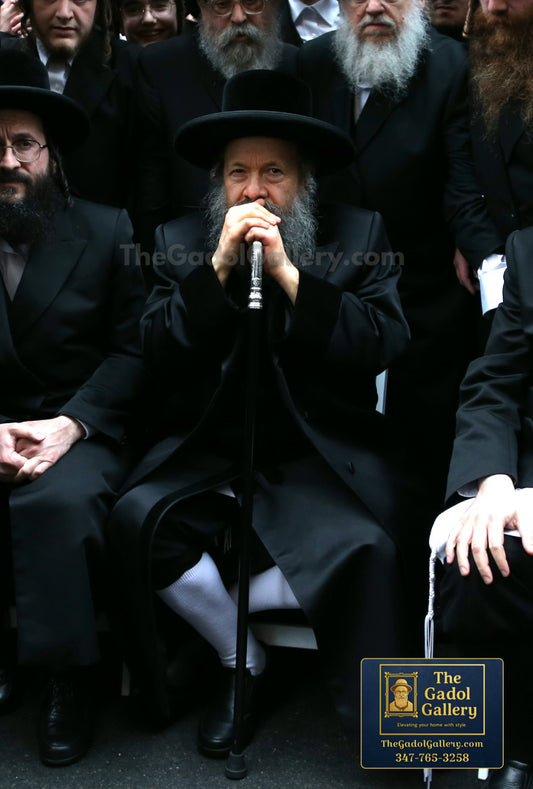 The Bobover Rebbe (45), Rav Mordechai Dovid Unger - 1 - האדמו"ר מבאבוב