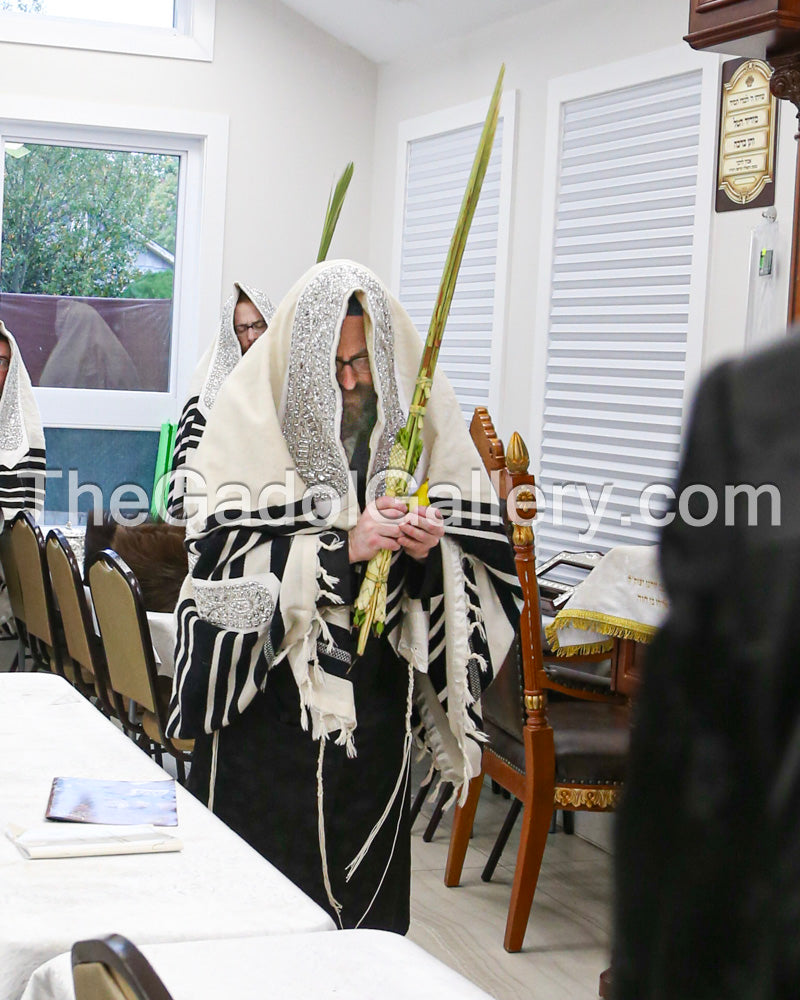 The Rachamstrivka Rebbe (Oak & Vine) -4- האדמו"ר מרחמסטריווקא