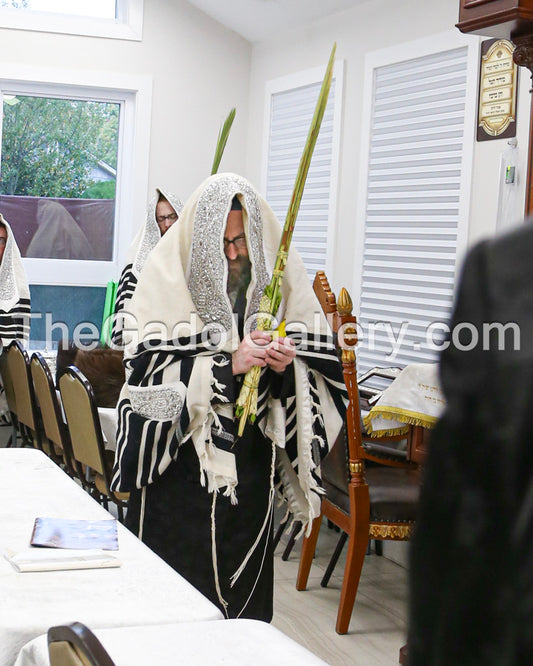 The Rachamstrivka Rebbe (Oak & Vine) -4- האדמו"ר מרחמסטריווקא