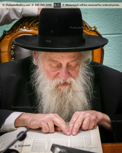 Rav Elya Ber Wachtfogel -5- רב אלי' בער וכטפוגל