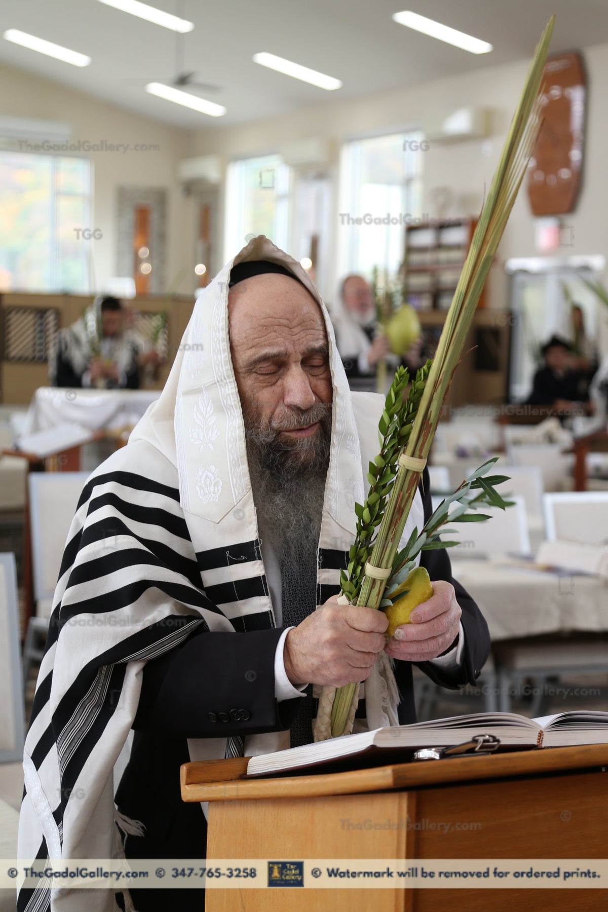 Rav Chaim Mintz -Lulav- רב חיים מינץ