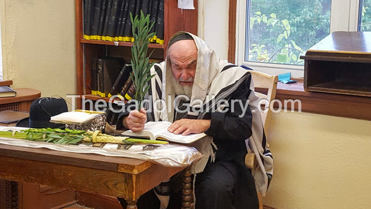 Rav Reuven Feinstein -7- רב שלום ראובן פיינשטיין Sukkah Poster