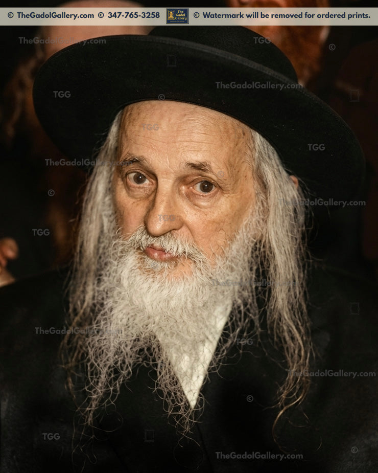 The Satmar Rebbe, Rav Yoel Teitelbaum -1- האדמו"ר מסאטמאר