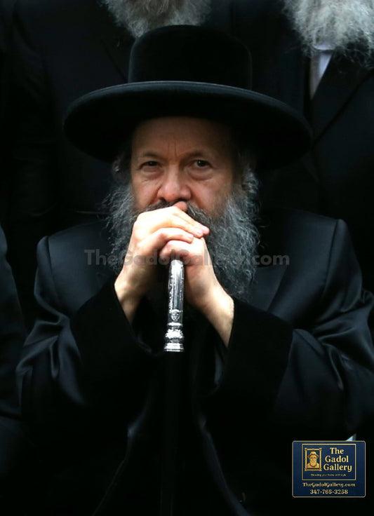 The Bobover Rebbe (45), Rav Mordechai Dovid Unger - 2 - האדמו"ר מבאבוב