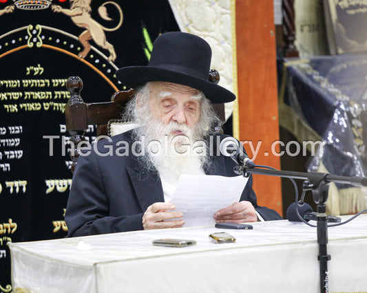 Rav Tzvi Friedman -1- רב צבי פרידמן