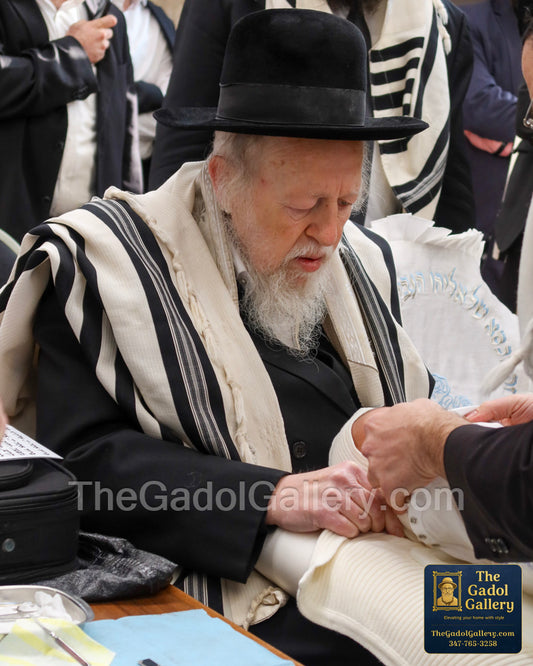 Rav Avrohom Yehoshua Soloveitchik 3 - רב אברהם יהושע סאלאווייציק