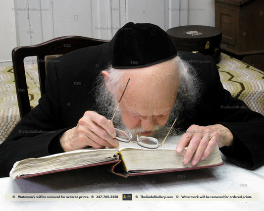 Rav Yosef Shalom Elyashiv -5L- הרב יוסף שלום אלישיב